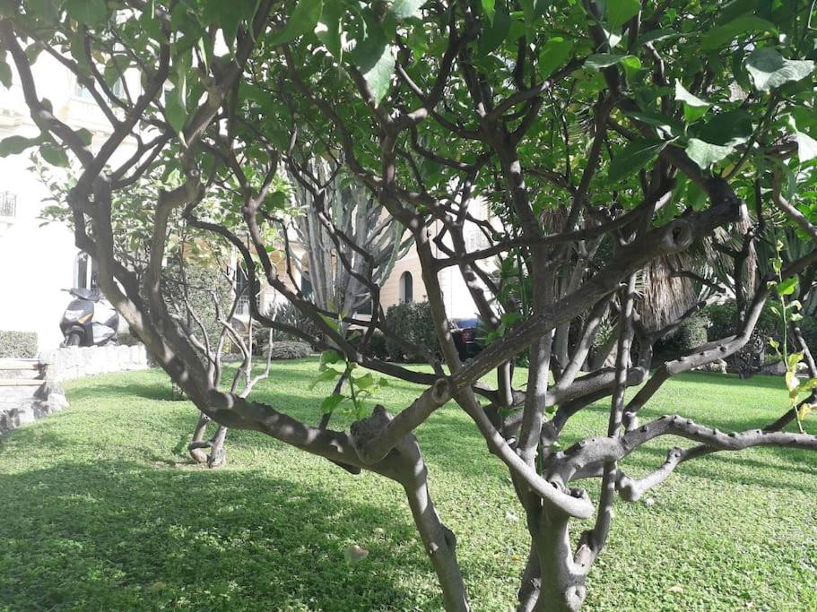 Apartmán La Casa Di Anna, In Palazzina Liberty Fronte Parco Bordighera Exteriér fotografie