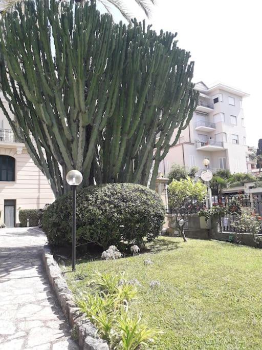 Apartmán La Casa Di Anna, In Palazzina Liberty Fronte Parco Bordighera Exteriér fotografie